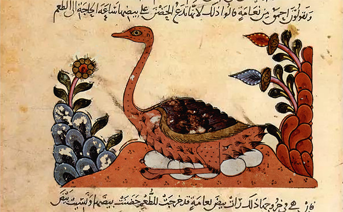 al-Jahiz's Book of Animals: The transcendent value of disgust