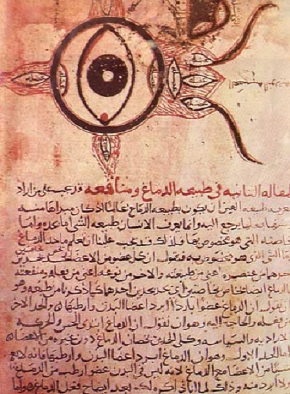 Arabic Medicinal Manuscripts of Pre-Colonial Northern Nigeria: A Descriptive List