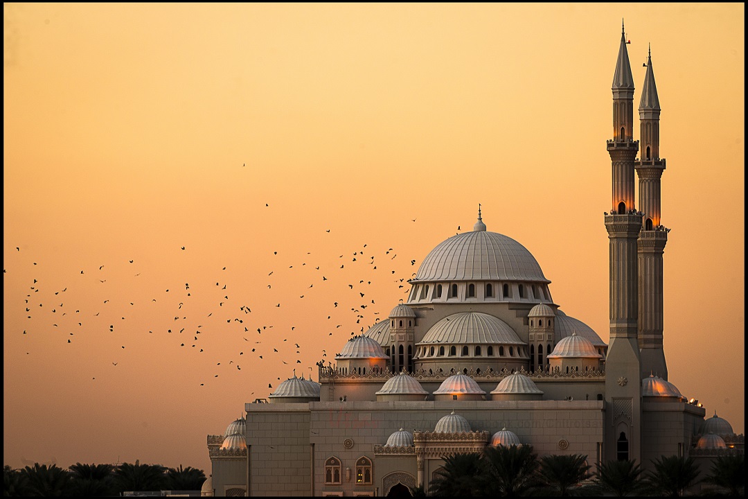 A Sanctuary for Birds: Muslim Civilisation