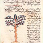 Botany