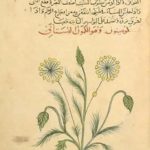 Botany