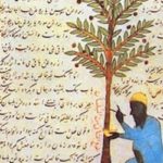 Botany