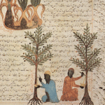 Botany