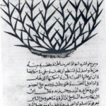 Botany